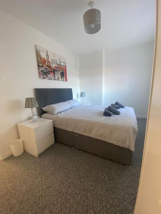 Modern Two Bed House Close To Centre Apartment Belfast